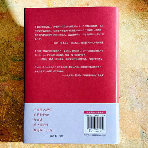 只有一朵玫瑰支撑 希尔德 多敏诗选 20世纪影响深远的德语女诗人 国内首次译介 商品图2