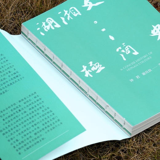 湖湘文化极简史 商品图2