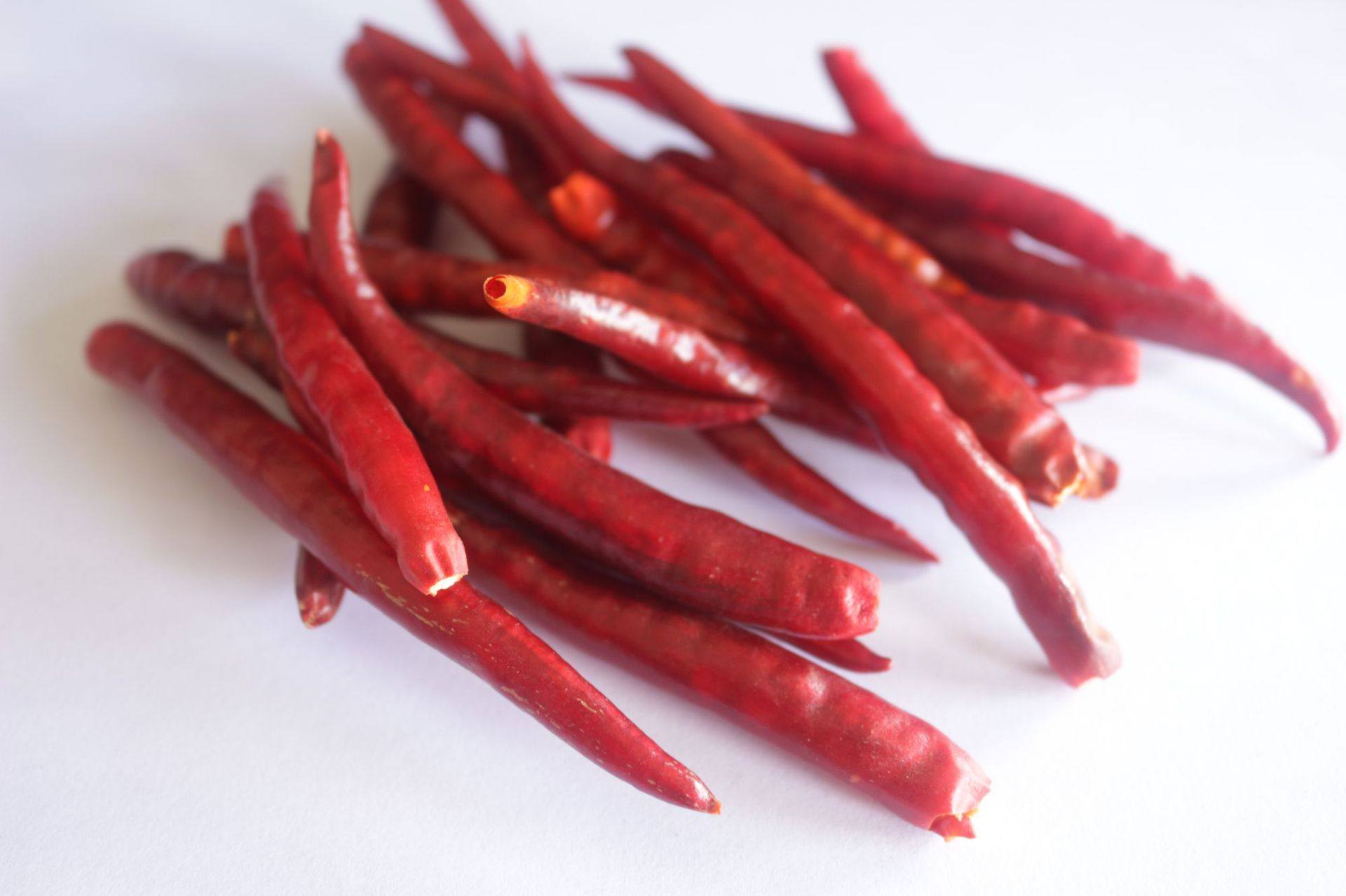 hWuQiv+lytTTaj2CXi/PXkEDTzzw5vioXEJK