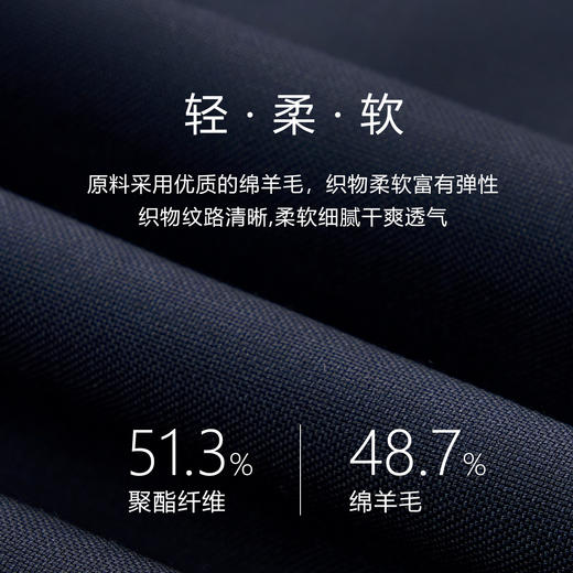 【铂金大师】绵羊毛Sorona易打理高端套西西裤255Z0S819N 商品图4