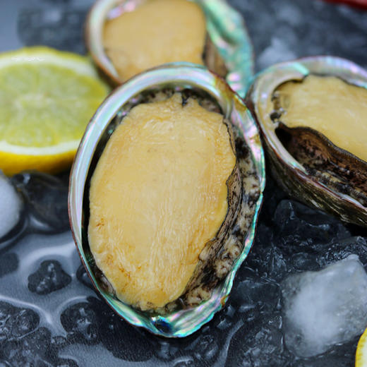 活冻野生大连鲍10只装 商品图3