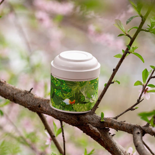 山里春天【龙井 双罐】21元一套/一件24套 商品图4