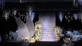 羽翼（运费自理）