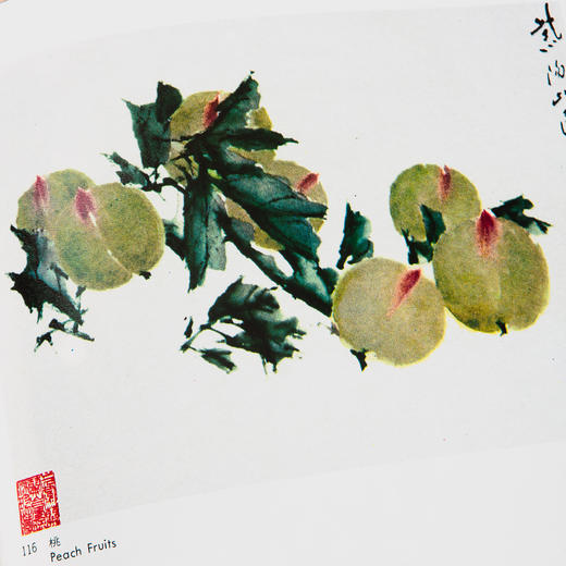 【绝版好书】1987年台湾艺术图书出版《虚谷画集》大16开精装104页 商品图11
