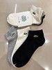 一卡三双，分男女 🐊原单2025春季新品日本在售鳄鱼低筒袜 商品缩略图6