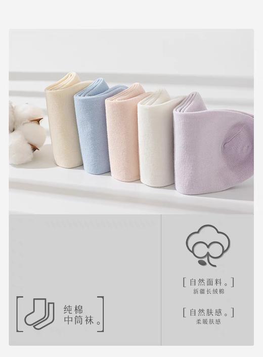 浪莎精梳棉平板女袜MF8373 5双（颜色随机发） 商品图0