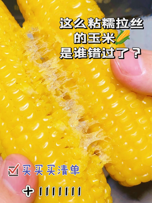 【专享链接】鹿大叔东北有机糯玉米 商品图7
