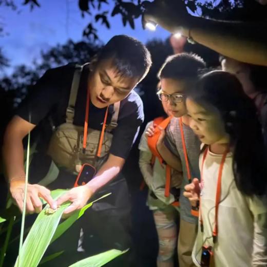 6天5晚【奢玩·西双版纳五一暑假亲子营】体验雨林穿越、特色傣族民俗文化、野象谷、小熊猫庄园，1大1小到2大2小享主题正餐，全程高能有玩有学不枯燥，高端野奢度假体验~ 商品图13