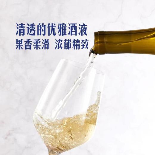 MM 山姆 Member's Mark 法国进口 夏布利一级园干白葡萄酒 750ml 商品图4