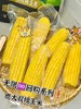 【专享链接】鹿大叔东北有机糯玉米 商品缩略图8