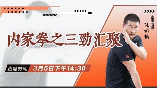【3月5日 】内家拳之三劲汇聚 商品图0
