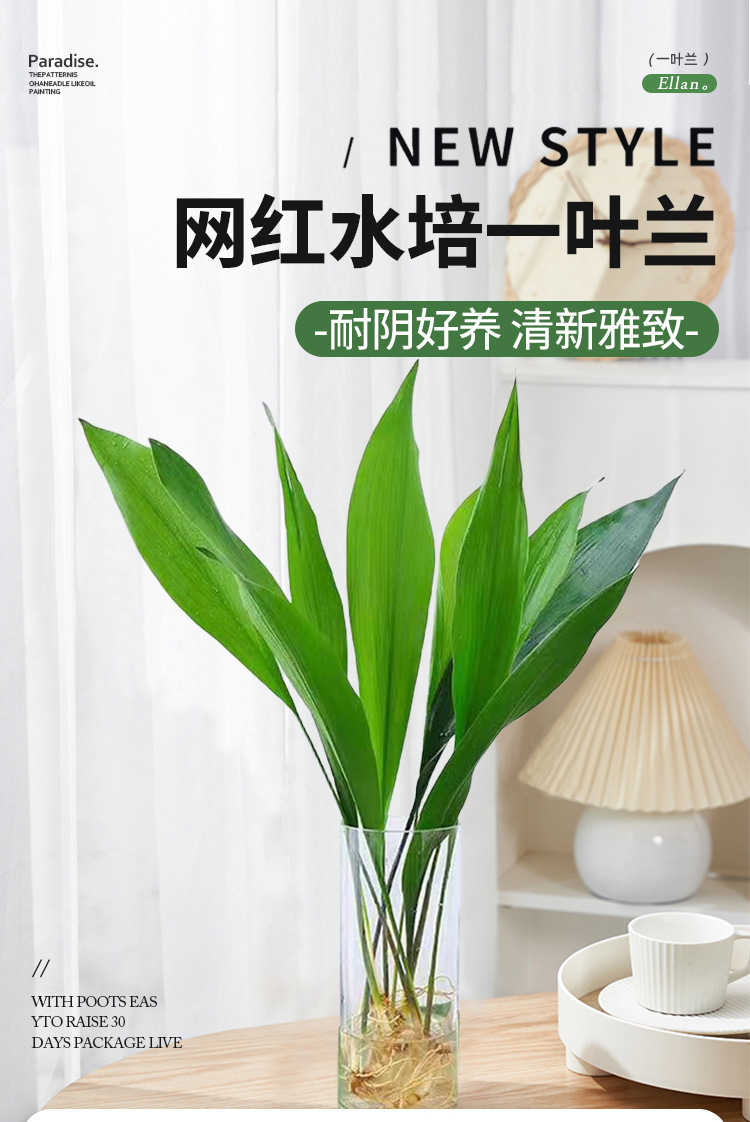 gm6Uj/OnzNRHr0wUH1HvyeYHwvMCJEmYVg6r