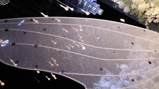 羽翼（运费自理） 商品图3