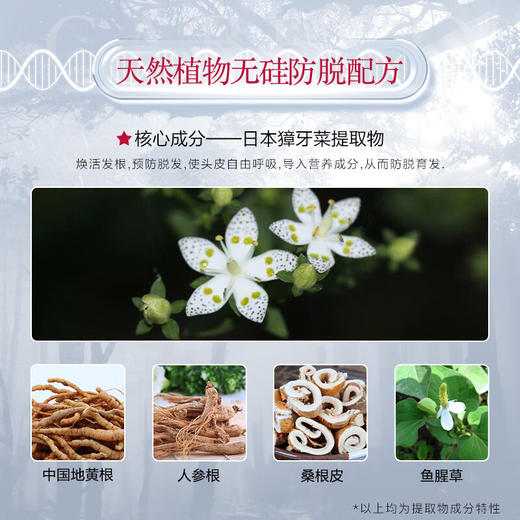 卡蓓诺 护发素（加强型）红瓶 350mL 商品图2