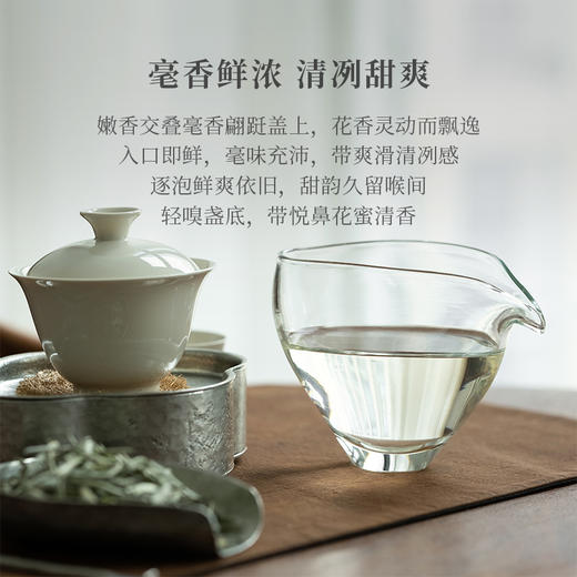 「北路白茶」杏雨梨花 福鼎白茶白毫银针2024新茶明前特级茶叶50g 商品图2