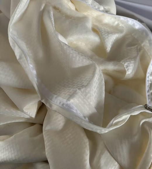 亚马逊订单，外贸100%纯蚕丝夏被！
6A级抗菌棉面料，专业施罗德阻螨面料，可直接贴肤使用！严选100%蚕丝填充，支持质检，百分百蚕丝填充！尺寸2.0*2.3米，条重3斤左右 商品图10