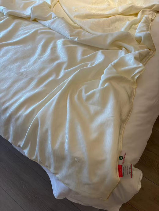 亚马逊订单，外贸100%纯蚕丝夏被！
6A级抗菌棉面料，专业施罗德阻螨面料，可直接贴肤使用！严选100%蚕丝填充，支持质检，百分百蚕丝填充！尺寸2.0*2.3米，条重3斤左右 商品图11