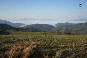  2025年茶山行日记1 | 竹外桃花三两枝，斜风春雨赴茶山 