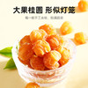 【杞里香】龙眼干桂圆干货龙眼干 肉柔 饱满肥厚桂圆肉500g、168g、150g、无核桂圆500g 商品缩略图2