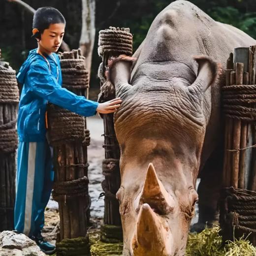 6天5晚【奢玩·西双版纳五一暑假亲子营】体验雨林穿越、特色傣族民俗文化、野象谷、小熊猫庄园，1大1小到2大2小享主题正餐，全程高能有玩有学不枯燥，高端野奢度假体验~ 商品图9