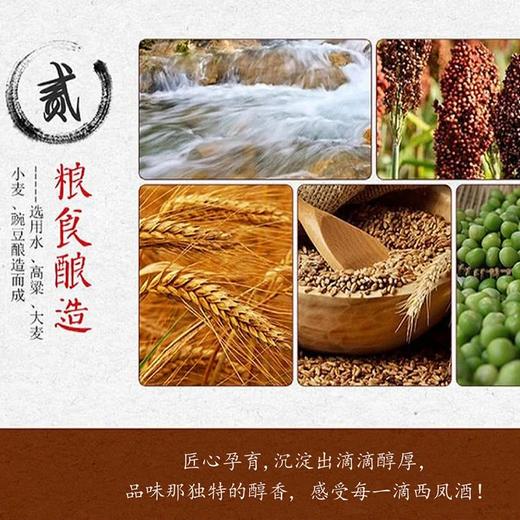 MM 山姆 55%vol西凤酒 1L 商品图3