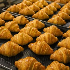 【手工牛角包家庭装】 51年西点经验的香港五星酒店总厨出品 正宗星级品质 牛角包的天花板