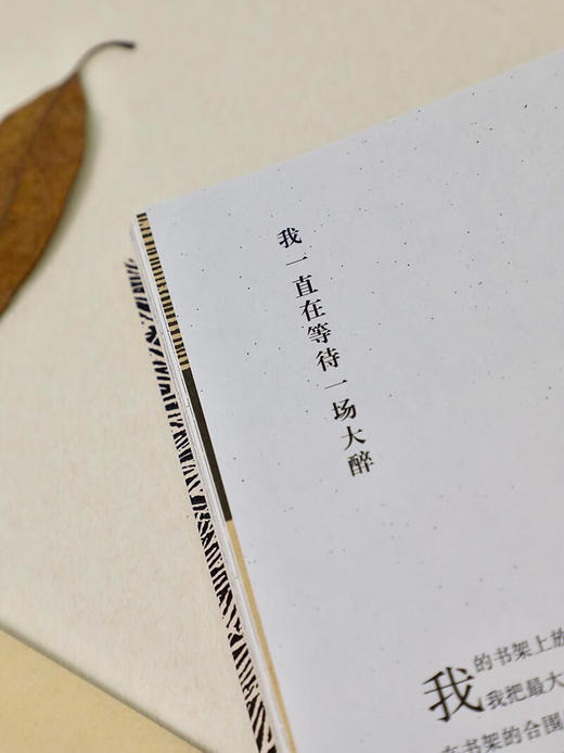 一只山雀总会懂另一只山雀 回归乡间故里 不再追赶时间 申赋渔 著 商品图6