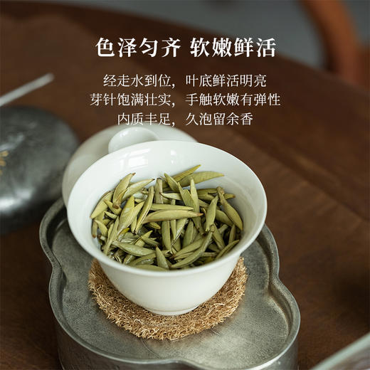「北路白茶」杏雨梨花 福鼎白茶白毫银针2024新茶明前特级茶叶50g 商品图3