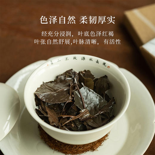 老树春水 福鼎白茶老寿眉正宗高山茶十年陈老白茶50g 商品图4