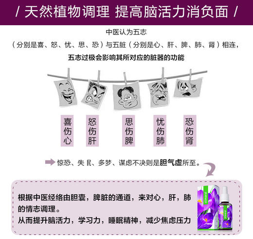 捷克Energy安能聚精神能源 30ml 提升专注力/缓解精神疲劳/营养大脑神经 商品图9