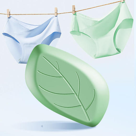 威立世Wallesh内衣专用皂80g 商品图3