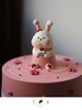 【客定】可爱小兔蛋糕0067 商品缩略图3