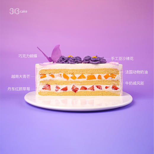 与蝶共舞，可选1.5/2.5/3.5/6磅 商品图4