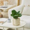 【网红盆栽，颜值在线】绿植室内花卉盆栽 办公室桌面摆件小盆景 植物发财树四季常青好养活 净化空气-QQ 商品缩略图12