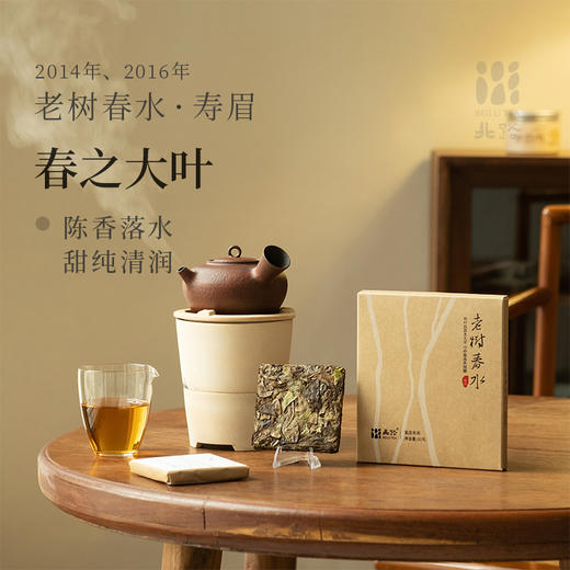 老树春水 福鼎白茶老寿眉正宗高山茶十年陈老白茶50g 商品图0