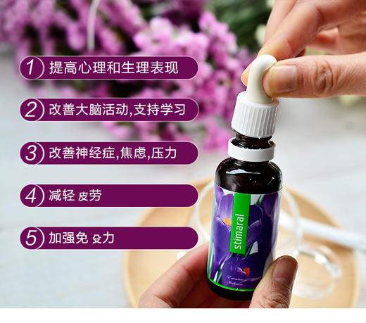 捷克Energy安能聚精神能源 30ml 提升专注力/缓解精神疲劳/营养大脑神经 商品图5