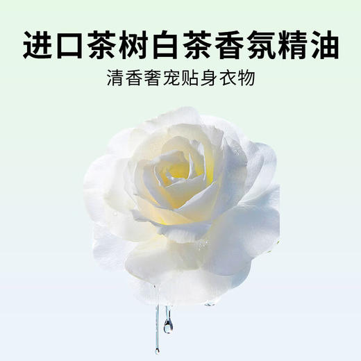 威立世Wallesh内衣专用皂80g 商品图2