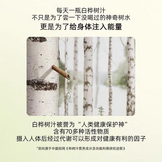 白桦依然 · 10倍浓缩白桦树汁  锁住自然的纯粹精华 商品图2