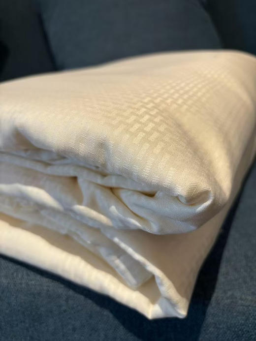 亚马逊订单，外贸100%纯蚕丝夏被！
6A级抗菌棉面料，专业施罗德阻螨面料，可直接贴肤使用！严选100%蚕丝填充，支持质检，百分百蚕丝填充！尺寸2.0*2.3米，条重3斤左右 商品图2