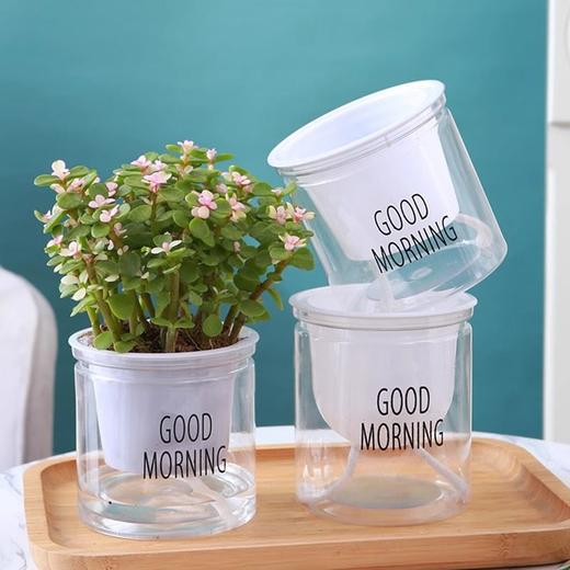 浇水绿萝免塑料早安吸水储水盆防烂根懒人双层自动花盆圆形培透明 商品图0