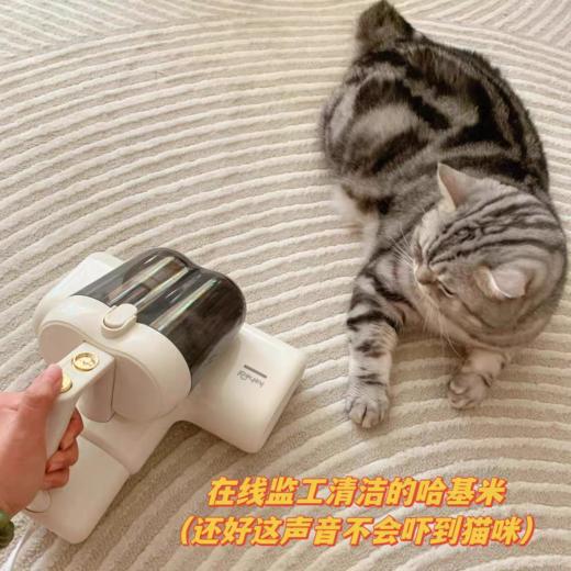 科西除螨仪 除螨神奇 大吸力 紫外线 强劲吸力 99.9%深度除螨 商品图7