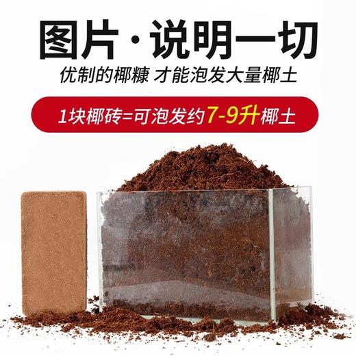 大块无菌种植土粗种菜营养椰通用型椰砖养花多肉椰壳椰糠土壤脱盐 商品图3