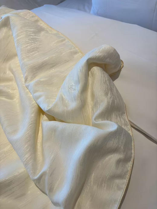 亚马逊订单，外贸100%纯蚕丝夏被！
6A级抗菌棉面料，专业施罗德阻螨面料，可直接贴肤使用！严选100%蚕丝填充，支持质检，百分百蚕丝填充！尺寸2.0*2.3米，条重3斤左右 商品图12