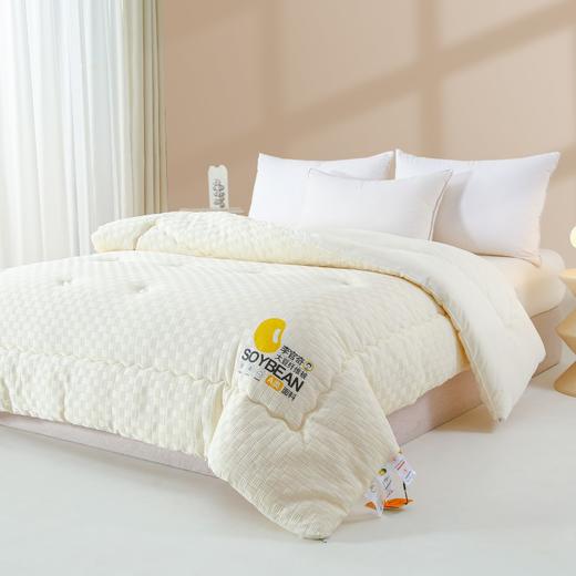 【清仓79元起】李官奇正品A类针织棉华夫格提花大豆被 软糯贴身春秋被、冬被【不支持退换货】 商品图2