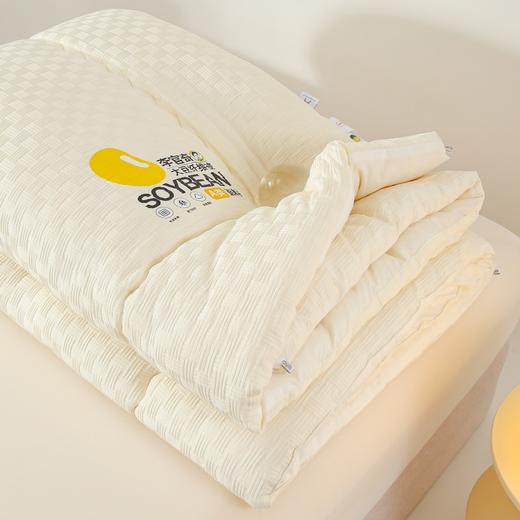 【清仓79元起】李官奇正品A类针织棉华夫格提花大豆被 软糯贴身春秋被、冬被【不支持退换货】 商品图4