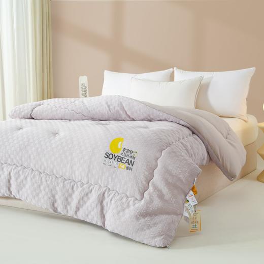 【清仓79元起】李官奇正品A类针织棉华夫格提花大豆被 软糯贴身春秋被、冬被【不支持退换货】 商品图10