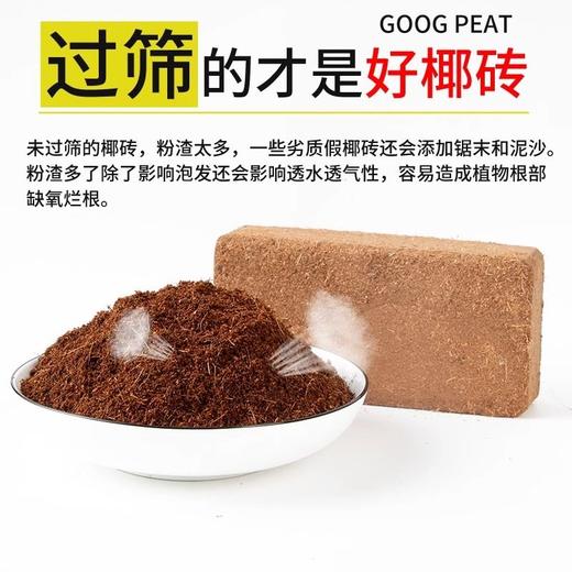 大块无菌种植土粗种菜营养椰通用型椰砖养花多肉椰壳椰糠土壤脱盐 商品图1