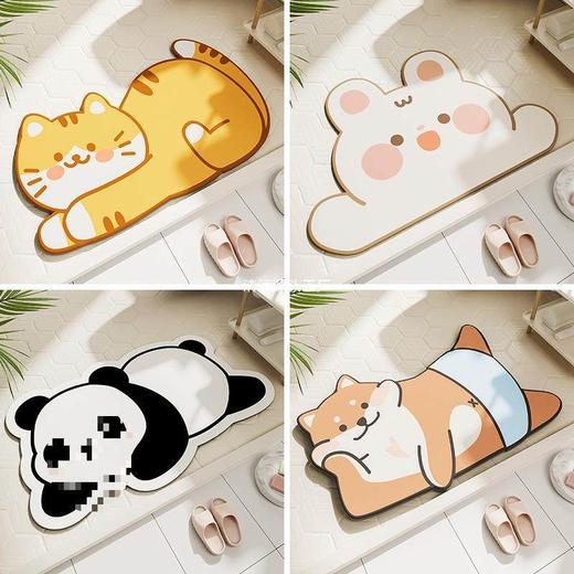 脚垫门口家用卫生间洗手间进门垫防滑吸水硅藻厕所垫子浴室泥地垫 商品图2