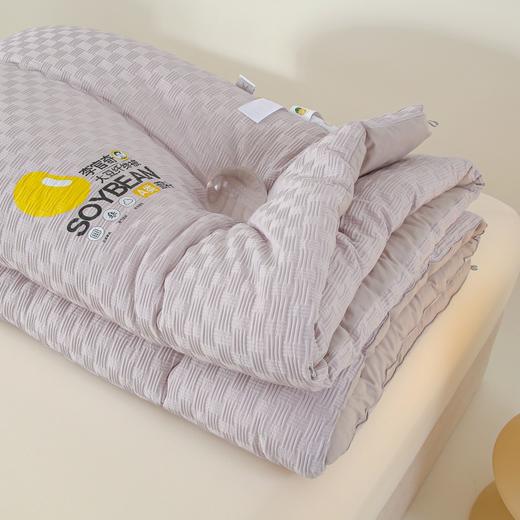 【清仓79元起】李官奇正品A类针织棉华夫格提花大豆被 软糯贴身春秋被、冬被【不支持退换货】 商品图11