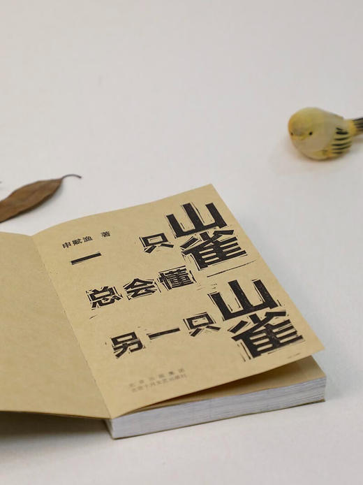 一只山雀总会懂另一只山雀 回归乡间故里 不再追赶时间 申赋渔 著 商品图5